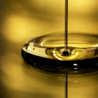 Services at Bakyard Mech: Oil & Lube Services at Bakyard Mech: Oil & Lube